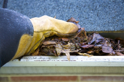 person cleaning out gutters