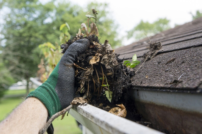 Clogged Gutter Cleaning In Houston