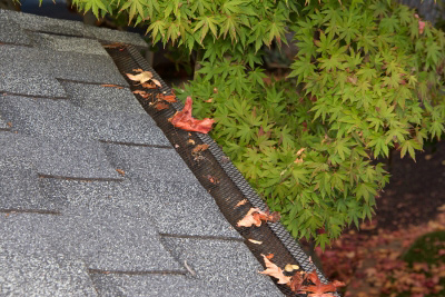 Gutter Guards Installation in Houston